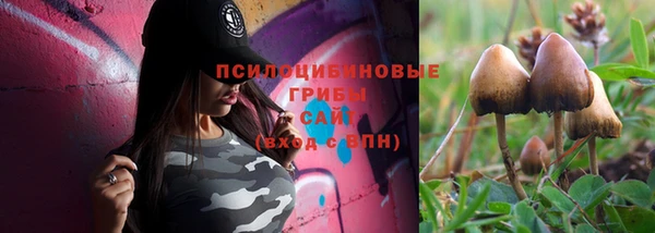 apvp Баксан