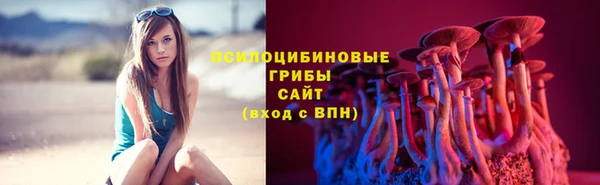 тгк Арсеньев