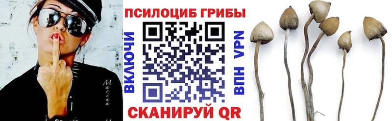 Псилоцибиновые грибы мухоморы  купить наркотики сайты  Елабуга 
